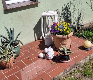 Plattenburg House | Wohnung Waltraud