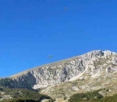 Virak Apartment | Wolf pit