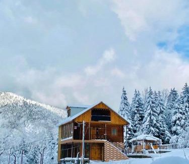 Khulo Apartment | Wonder Inn