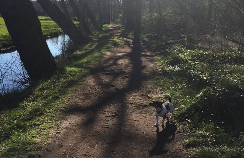 Mariahoeve Apartment | Wonderful apartment close to center of The Hague