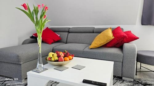 Bierutowice Apartment | Wonderful Dream Apartament z widokiem na Śnieżkę Bezpłatny Parking