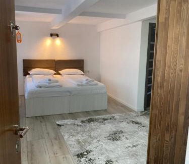 Bistrita Apartment | Wonderland apartment