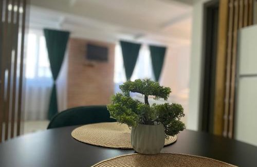 Bistrita Apartment | Wonderland apartment