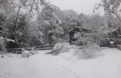 Los Masos Ski Chalet | Wooden chalet in a verdant environment at the foot of the Mount Canigou