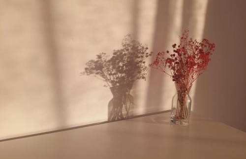 Argavand House | woolway studios