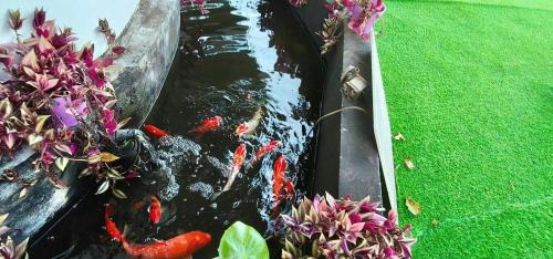 Candos House | Yiru Academy's upstairs art & viewing room