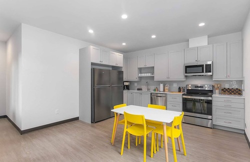 North Queen Anne Apartment | Yoda's Swamp Suite in Queen Anne