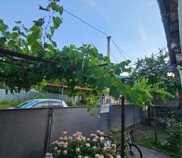 Ambrolauri House | Your corner in Racha შენი კუთხე რაჭაში