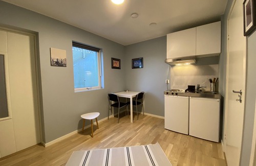 Laksevag Apartment | Your Dream Studio in Bergen