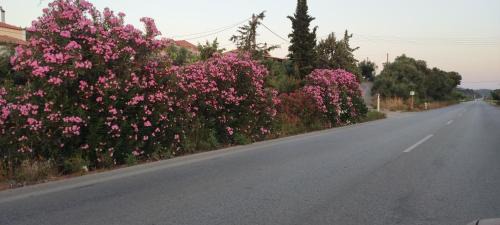 Kakovatos House | YourSpot Project - shared countryhouse - private rooms - West Peloponnese