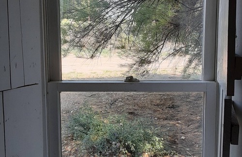 Nambe Pueblo House | Ysabel Adobe- Private Bedroom attached bathroom in century old adobe on 1 acre.
