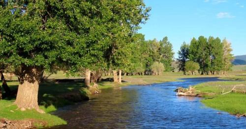 Arhangay Other | Yurt camp at the heart of Mongolia Experience virgin wild nature