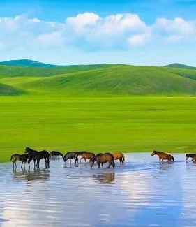 Arhangay Other | Yurt camp at the heart of Mongolia Experience virgin wild nature