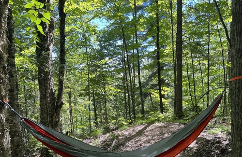 Wakefield Cabin | YURTING IN THE UP - A CAMPFIRE RETREAT IN THE FOREST