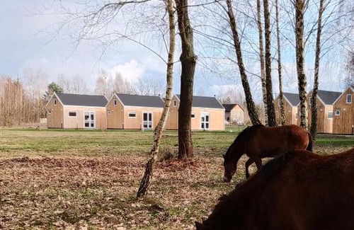 Mszczonow House | ZAGAJNIK Country Camp obok Suntago