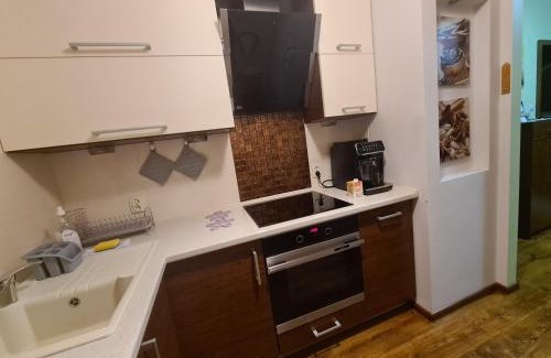 Torun Apartment | Zatrzymaj się w Toruniu