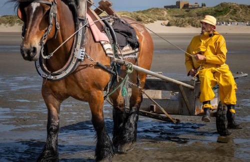 Westkerke Bed & Breakfast | Zee-van-Tijd