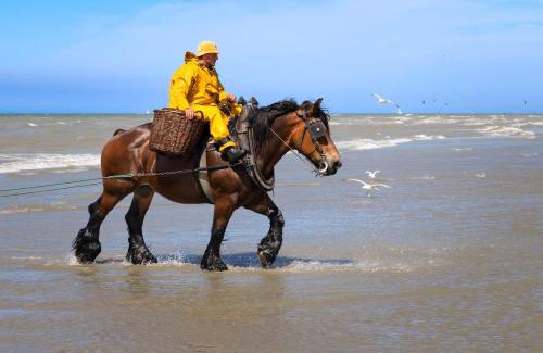 Westkerke Bed & Breakfast | Zee-van-Tijd