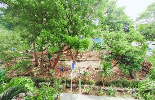 Daanbantayan Hotel | Zhang Resort and Dive Center OPC