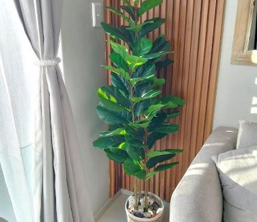 Umhlali Apartment | Zimbali Ocean Club F20 Ballito