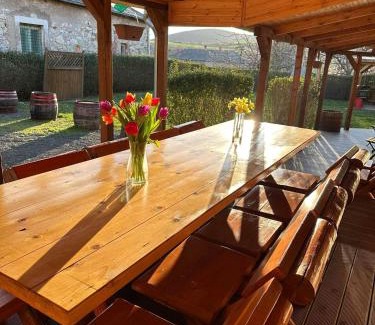 Abaujszanto House | Zimmer Feri Vendégház