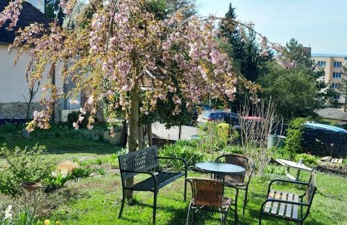 Zliv Apartment | Zlivská Varta