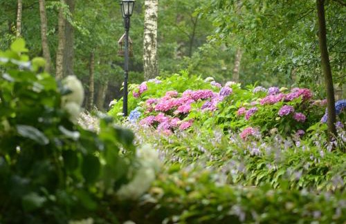 Osjakow House | Zofijówka