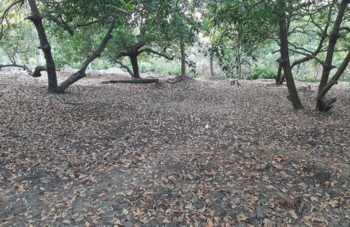 Dahanu House | Zohra Baugh, a green & organic farmhouse stay with all amenities