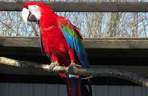 Billund Municipality Apartment | Zoo apartment tæt på Legoland, Lego-house, lalandia