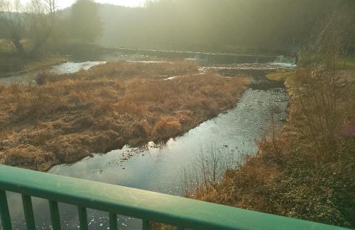 Lichtenwalde Cabin | Zum stillen Himmelbett