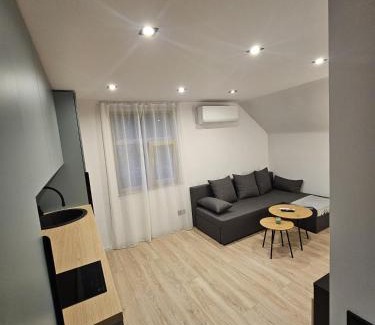 Grizinkalns Apartment | Zvaigžņu apartment