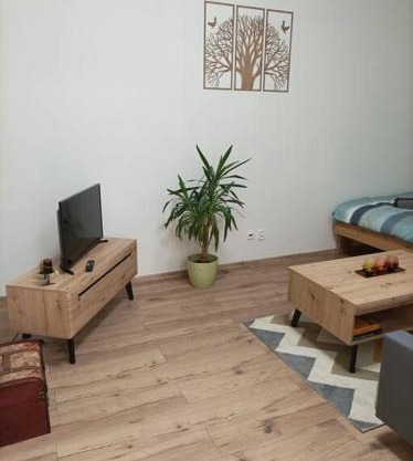 Štýlový Apartmán Zemplínska