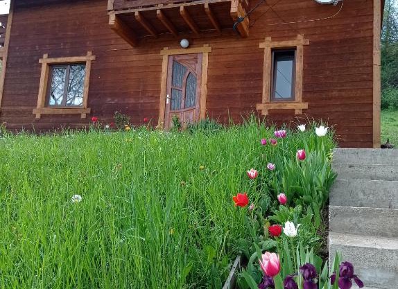 Котедж Чорнобривець