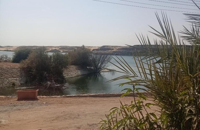 آمون ابوسمبل