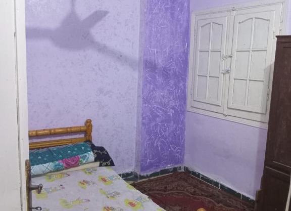 الاسكندرية العجمي الهانوفيل