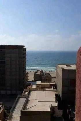 العجمى شارع الروضه الخضراء