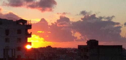 العجمي الهانوڤيل اسكندريه مطروح الرئيسي