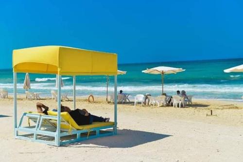 تاهيتي باي الجراولة