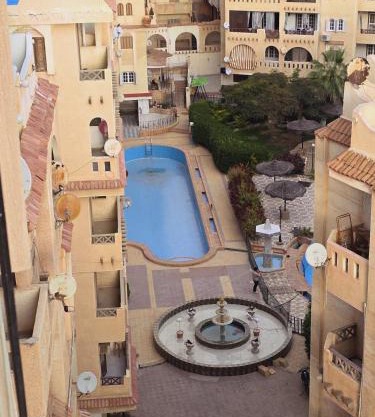 شقه مصيف بالنخيل اكتوبر قوات مسلحه