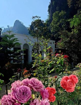 วีรพัชนารา