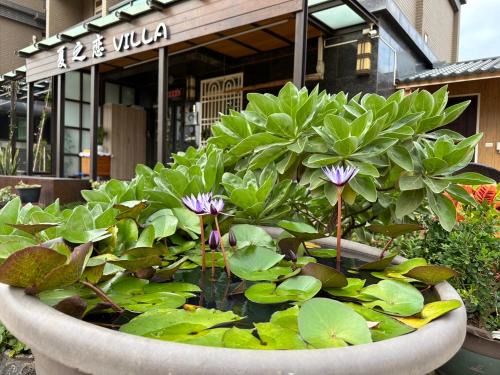 夏之戀民宿 可包棟 近金城市區