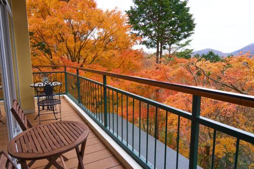 美術の宿 箱根もみじの森