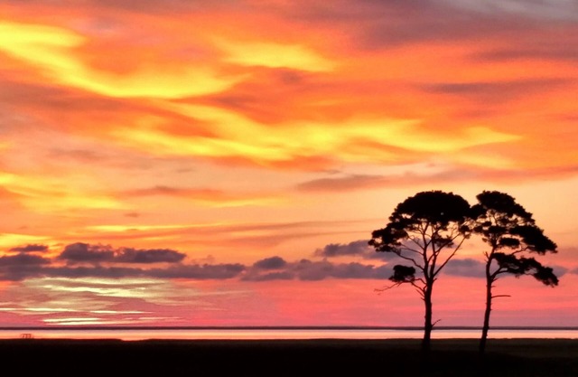 100-Acre Private WATERFRONT Home- NatureLovers Paradise & Views!