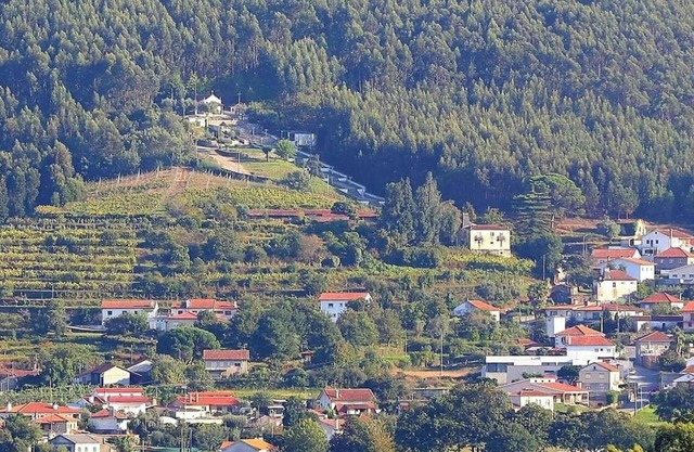 2 Bed House - Sleeps 4 - Pets, Garden, Wifi