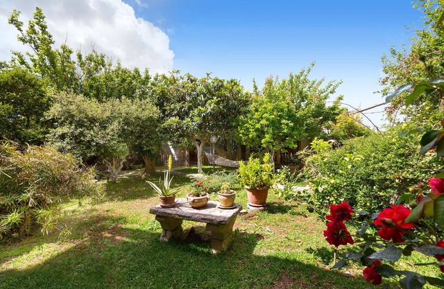 3485 EM - Lambis by BarbarHouse