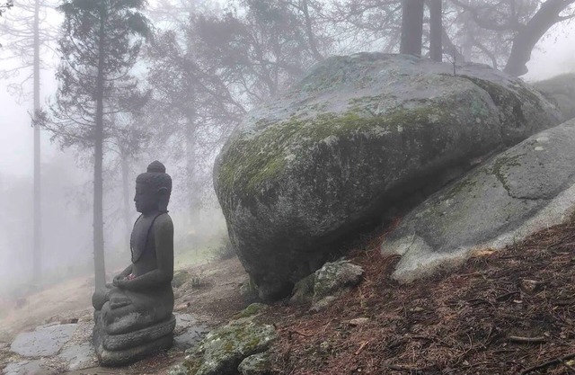 4 Acre A-Frame Private Retreat