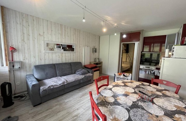 50m from ski slopes, 1st floor, view mountain, tv, 29m², Gourette