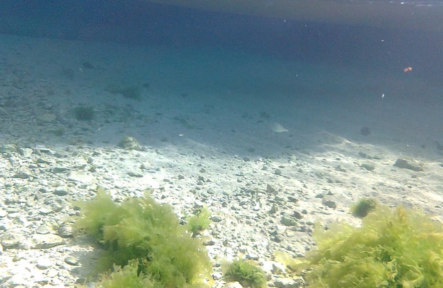 Accommodation 50 mt. from the sea, 5 minutes from Gallipoli and the Salentine Maldives