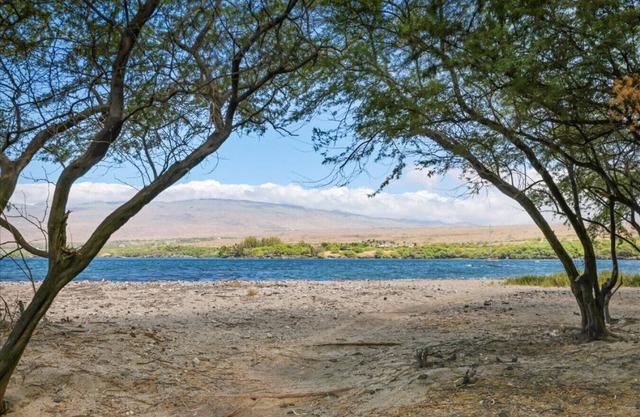 Across from the Beach - Sunsets, Ocean and Turtles