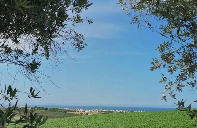 Addis House - Langano - Double Room